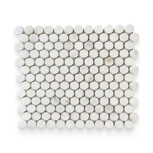 1x1 Daphne White Polished Penny Round Mosaic - Sample